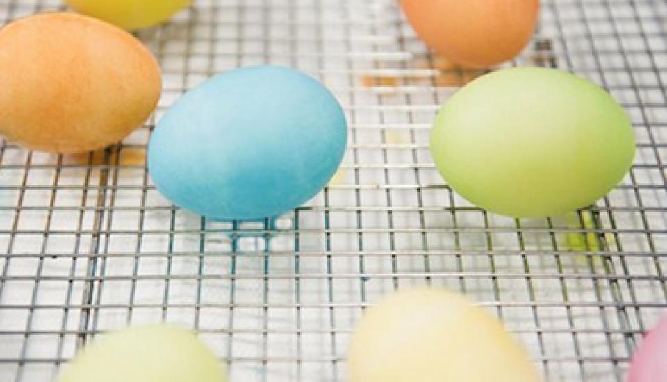 Kit de teinture aux œufs tout-en-un de Dudley, œuf de Pâques
